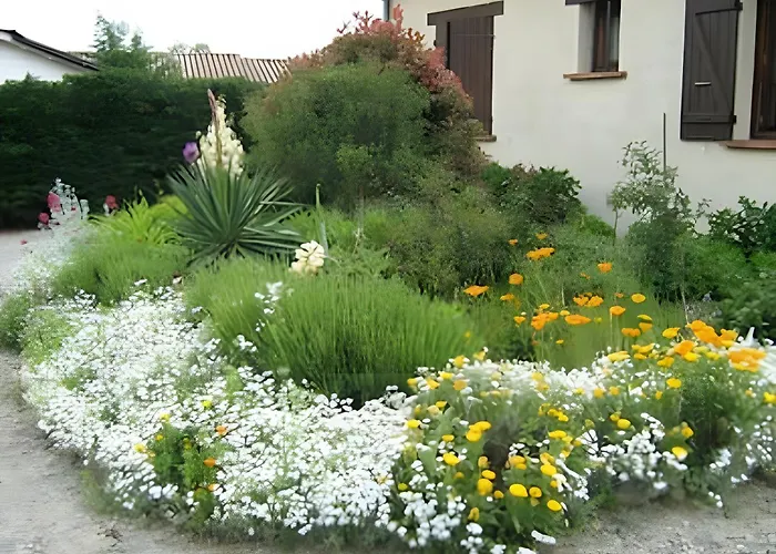 Le Laurier アパート