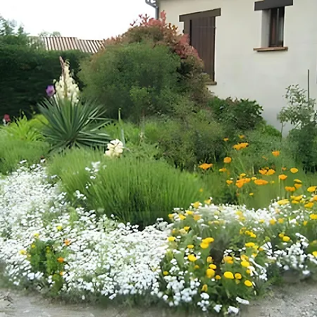 Le Laurier Apartment